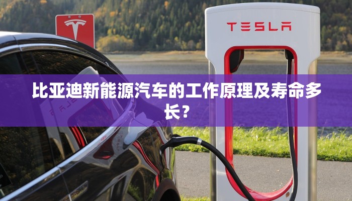 比亚迪新能源汽车的工作原理及寿命多长？