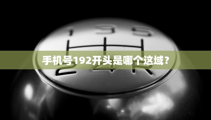 手机号192开头是哪个这域？
