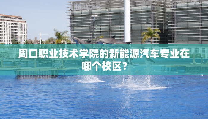 周口职业技术学院的新能源汽车专业在哪个校区？