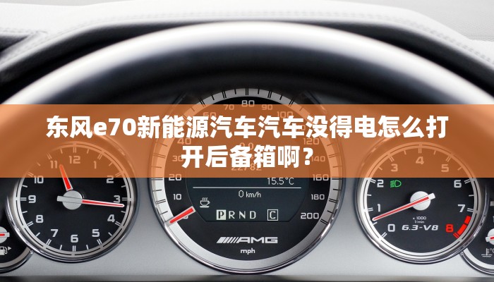 求中兴e300网管软件急急急