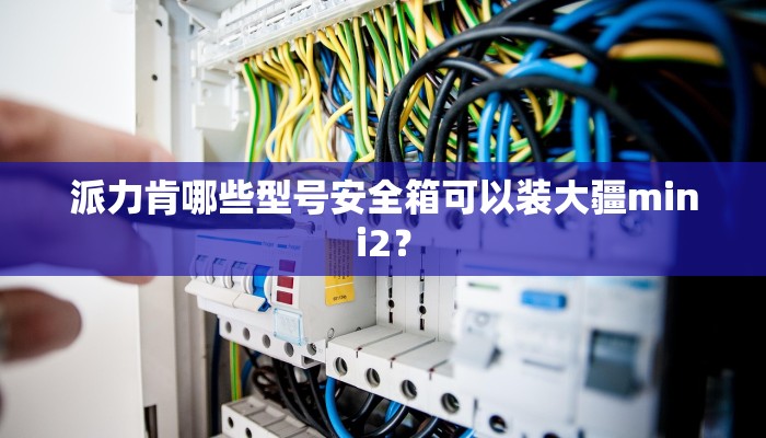 派力肯哪些型号安全箱可以装大疆mini2？