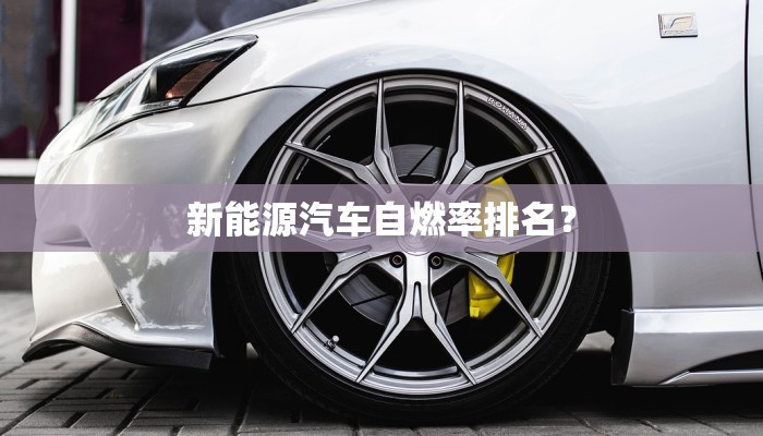 新能源汽车自燃率排名？
