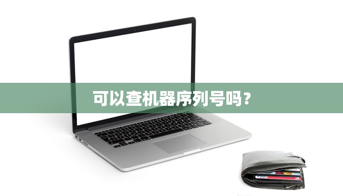 可以查机器序列号吗？