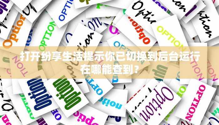 打开纷享生活提示你已切换到后台运行在哪能查到？
