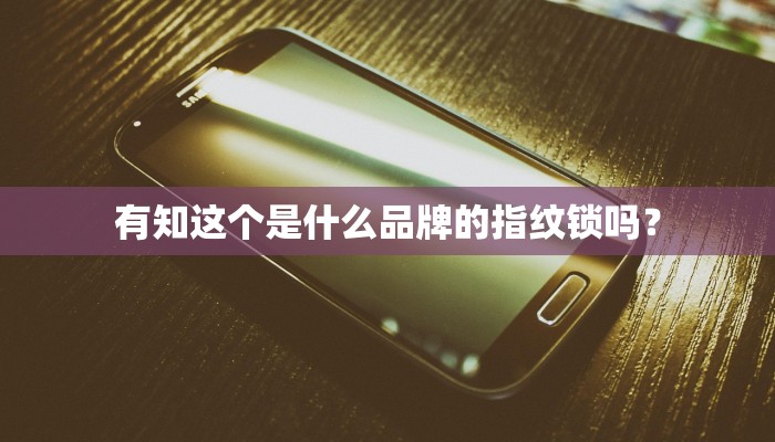 有知这个是什么品牌的指纹锁吗？