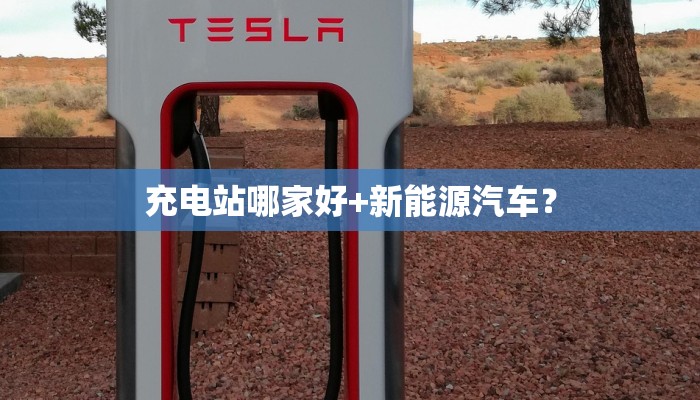 充电站哪家好+新能源汽车？