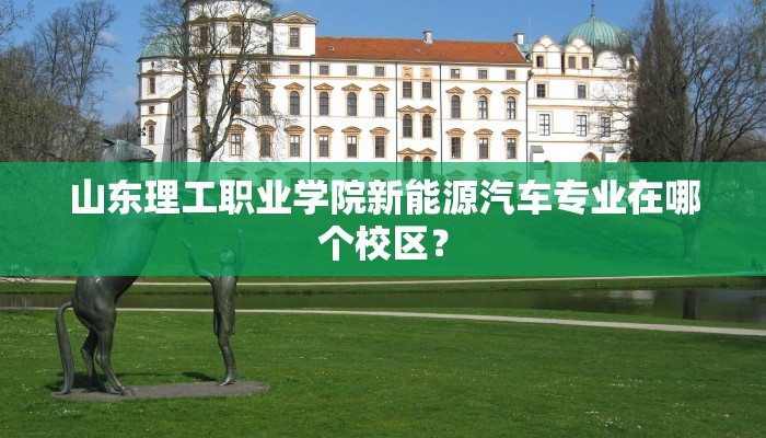 山东理工职业学院新能源汽车专业在哪个校区？