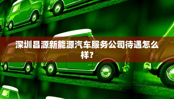 深圳昌源新能源汽车服务公司待遇怎么样？