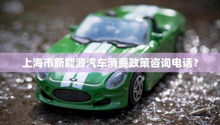 上海市新能源汽车消费政策咨询电话？