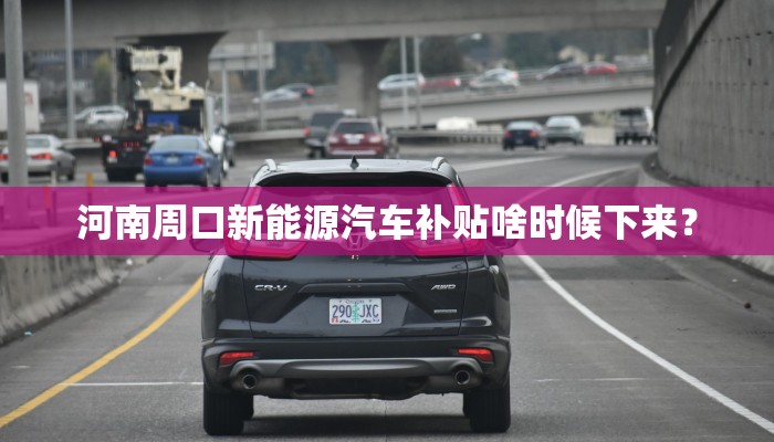 河南周口新能源汽车补贴啥时候下来？