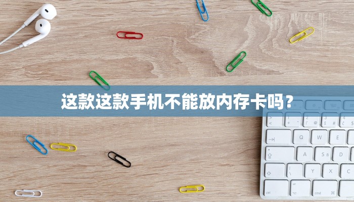 这款这款手机不能放内存卡吗？
