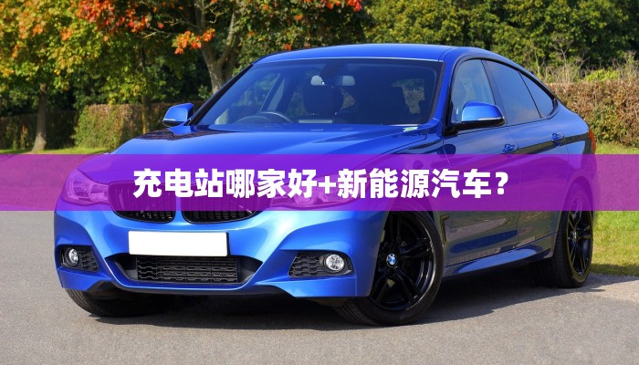充电站哪家好+新能源汽车？