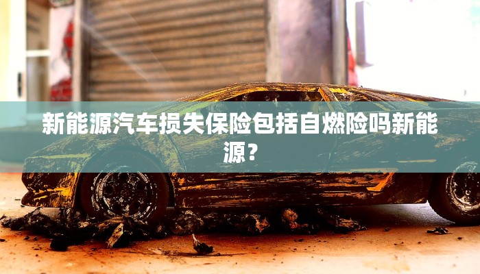 新能源汽车损失保险包括自燃险吗新能源？