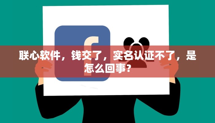 联心软件，钱交了，实名认证不了，是怎么回事？