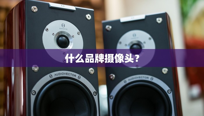 什么品牌摄像头？