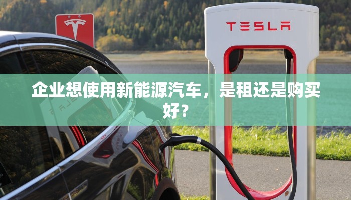 企业想使用新能源汽车，是租还是购买好？