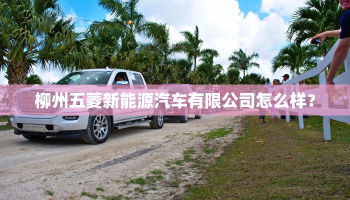柳州五菱新能源汽车有限公司怎么样？