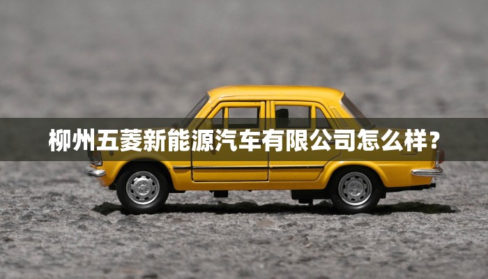 柳州五菱新能源汽车有限公司怎么样？