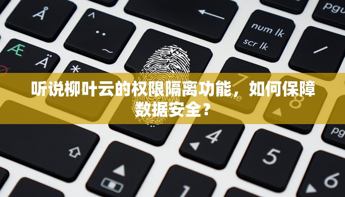 听说柳叶云的权限隔离功能，如何保障数据安全？