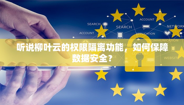 听说柳叶云的权限隔离功能，如何保障数据安全？