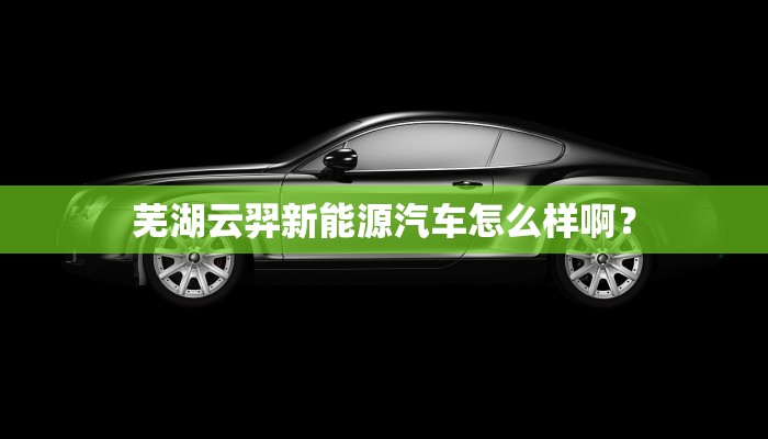 芜湖云羿新能源汽车怎么样啊？
