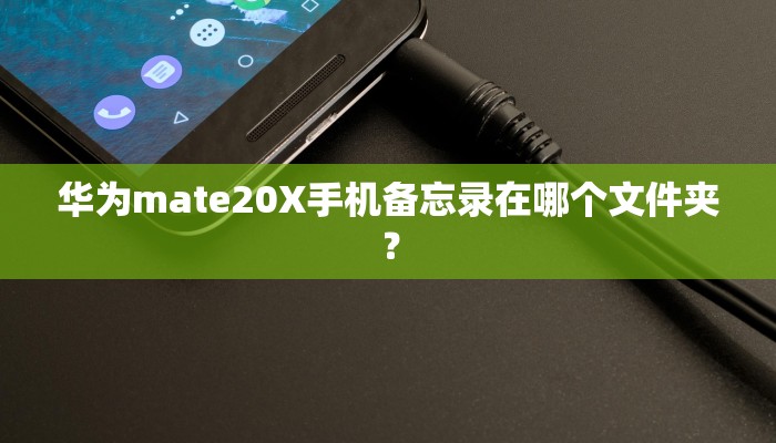 领跑新能源汽车+20款t03电池是刀片电池吗？