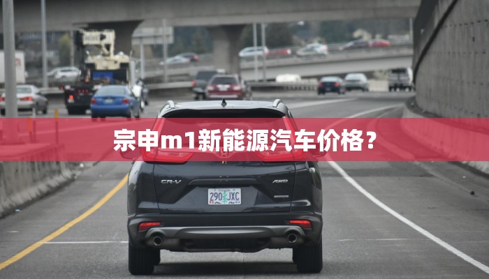 宗申m1新能源汽车价格？
