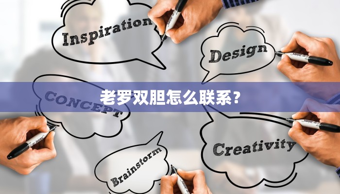老罗双胆怎么联系？