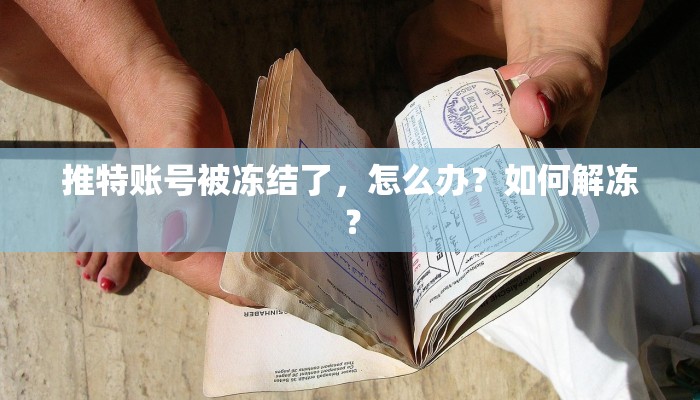推特账号被冻结了，怎么办？如何解冻？