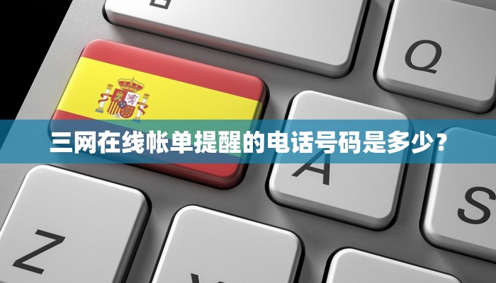 三网在线帐单提醒的电话号码是多少？