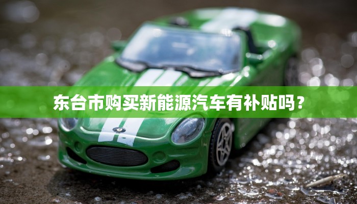 东台市购买新能源汽车有补贴吗？