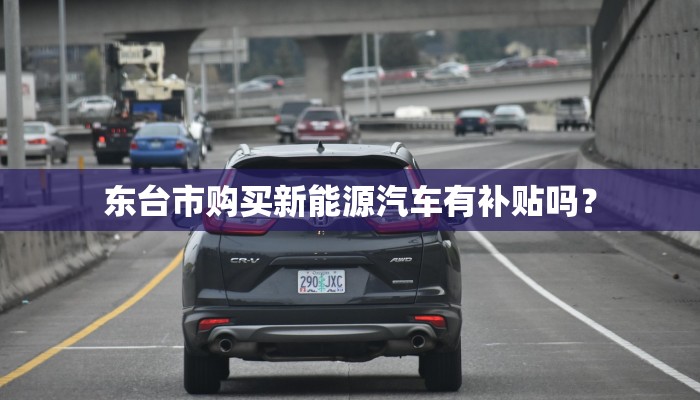 东台市购买新能源汽车有补贴吗？
