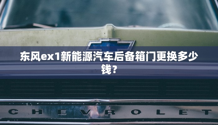 东风ex1新能源汽车后备箱门更换多少钱？