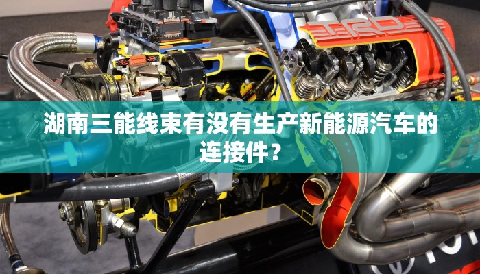 湖南三能线束有没有生产新能源汽车的连接件？