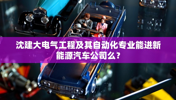 沈建大电气工程及其自动化专业能进新能源汽车公司么？