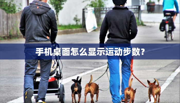 手机桌面怎么显示运动步数？