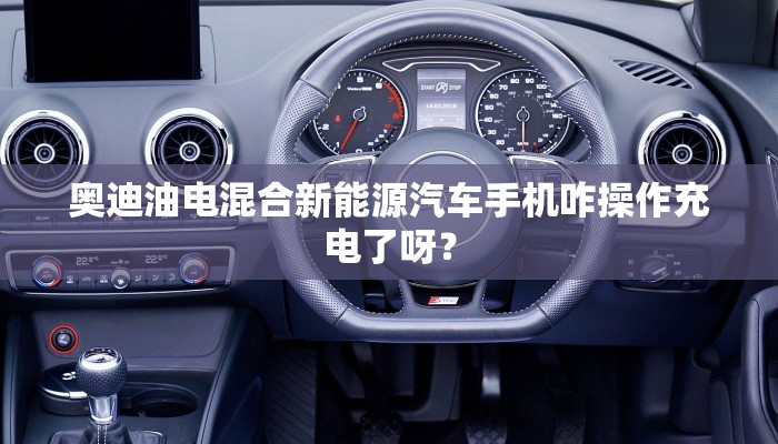 奥迪油电混合新能源汽车手机咋操作充电了呀？