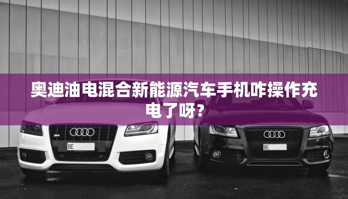 奥迪油电混合新能源汽车手机咋操作充电了呀？