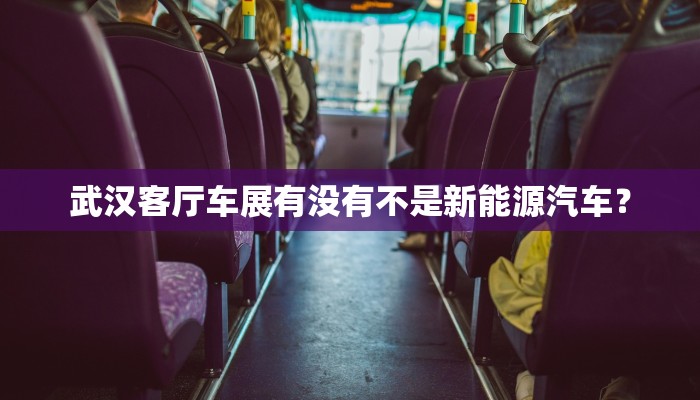 武汉客厅车展有没有不是新能源汽车？