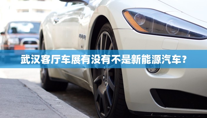 武汉客厅车展有没有不是新能源汽车？