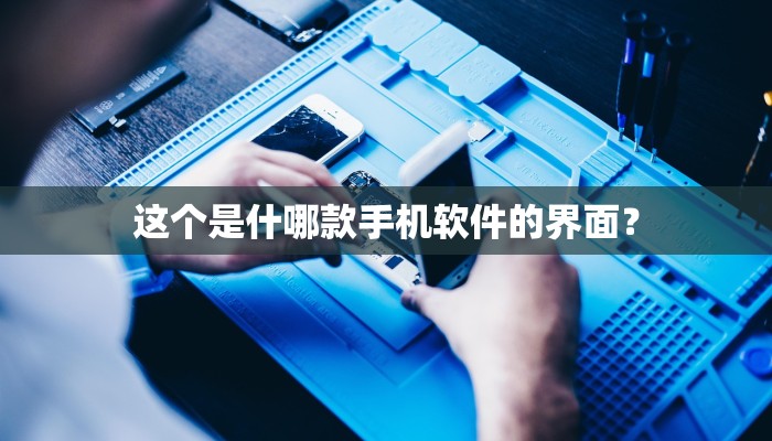 这个是什哪款手机软件的界面？
