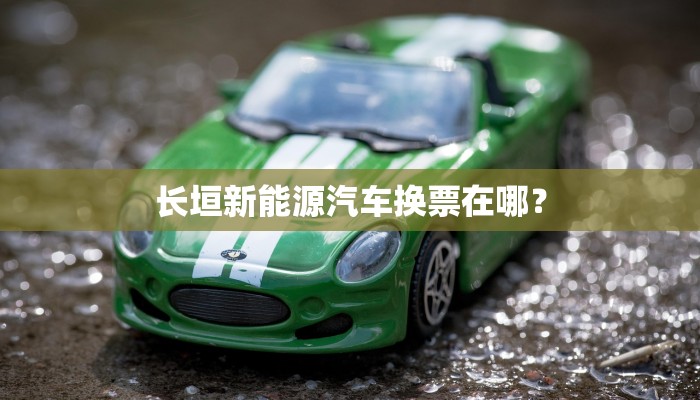 长垣新能源汽车换票在哪？