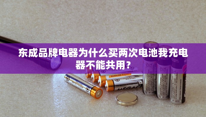 东成品牌电器为什么买两次电池我充电器不能共用？