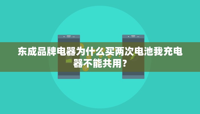 东成品牌电器为什么买两次电池我充电器不能共用？