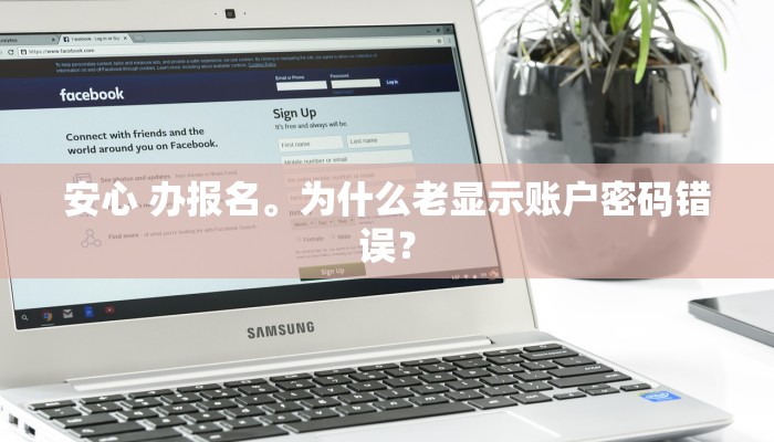 安心 办报名。为什么老显示账户密码错误？