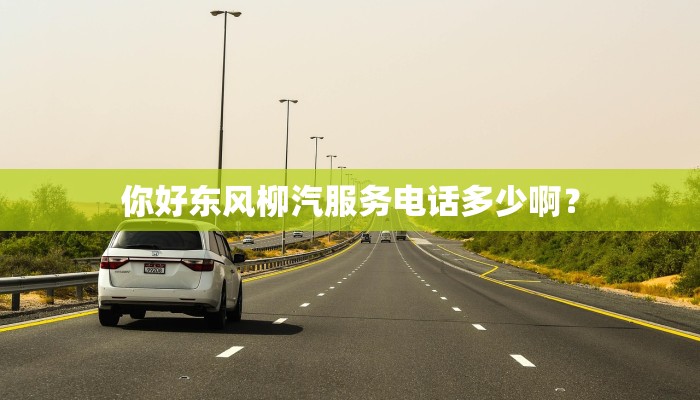 你好东风柳汽服务电话多少啊？