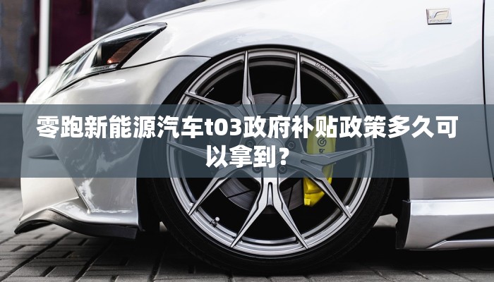 零跑新能源汽车t03政府补贴政策多久可以拿到？