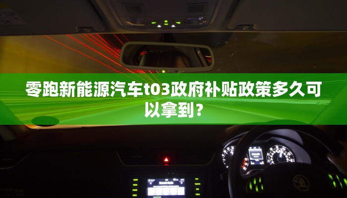 零跑新能源汽车t03政府补贴政策多久可以拿到？