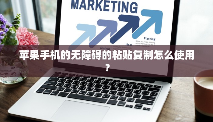 苹果手机的无障碍的粘贴复制怎么使用？