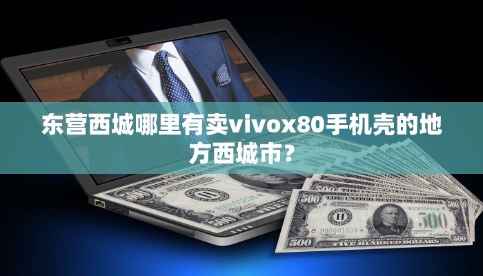 东营西城哪里有卖vivox80手机壳的地方西城市？
